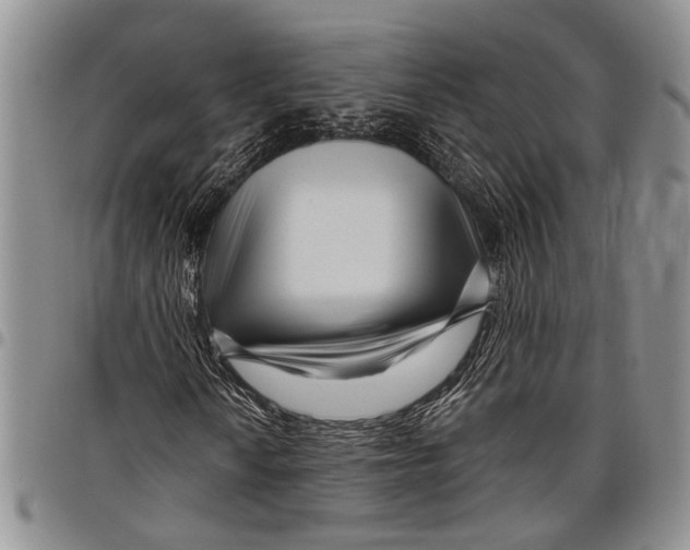 X0000097971010200804141046