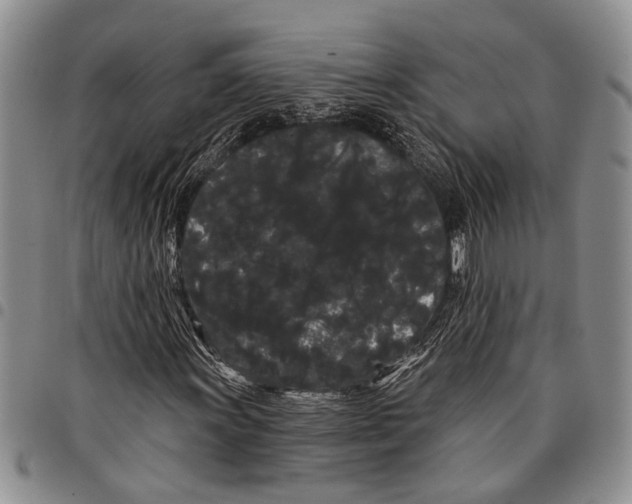 X0000097971011200804141046