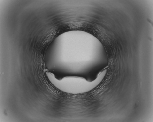 X0000097971012200804141046