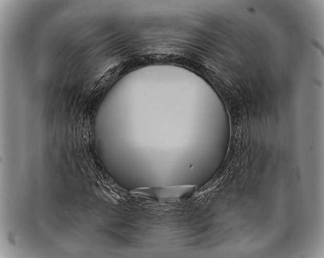 X0000097971014200804141046