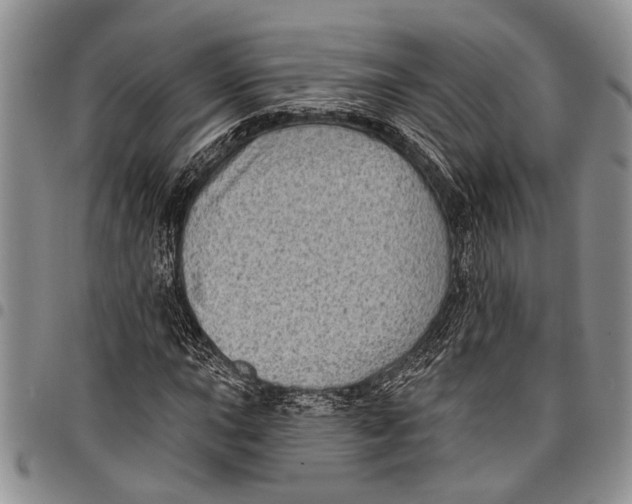 X0000097971015200804141046