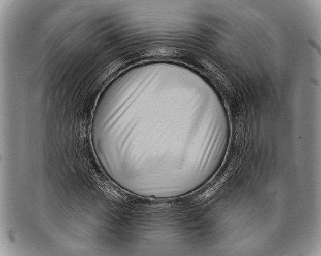 X0000097971017200804141046