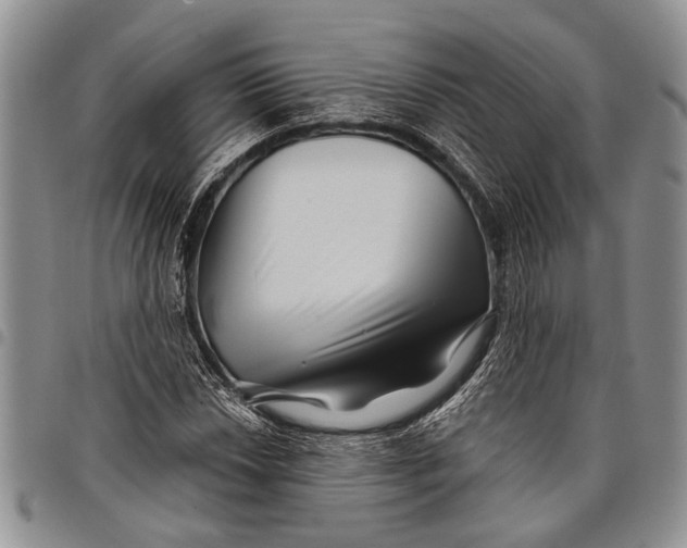 X0000097971018200804141046