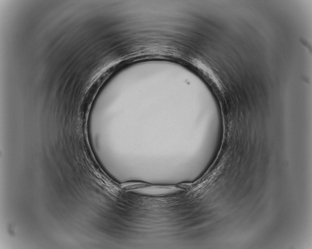 X0000097971019200804141046