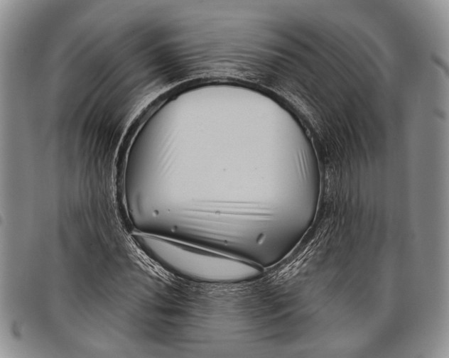 X0000097971020200804141046