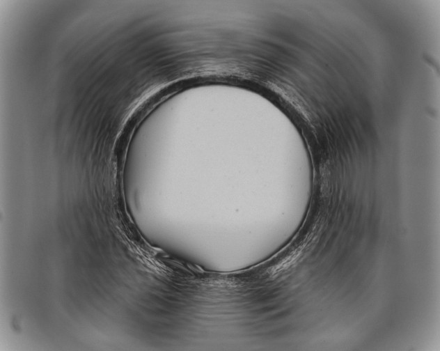 X0000097971021200804141046
