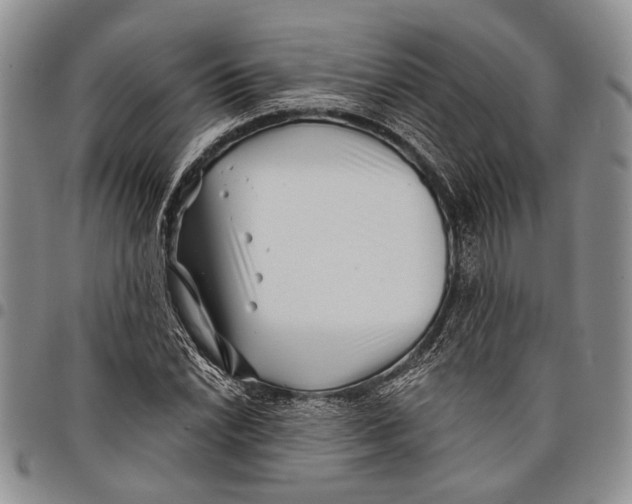 X0000097971022200804141046