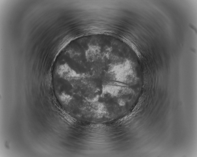 X0000097971023200804141046