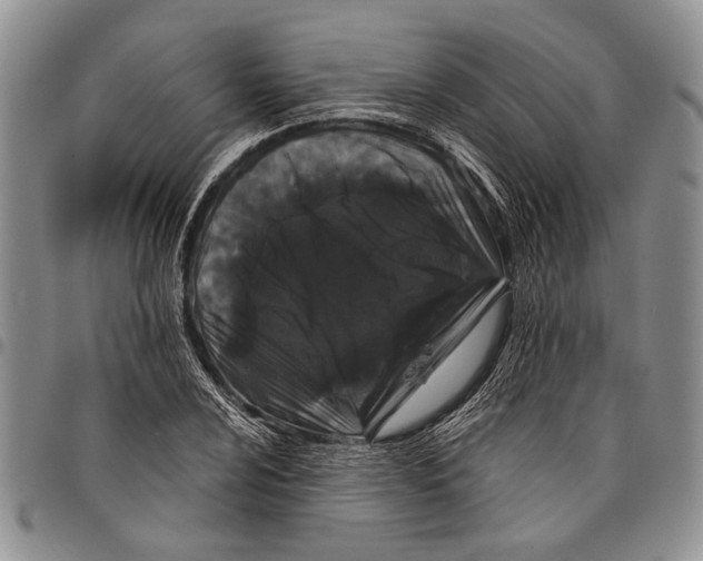 X0000097971024200804141046