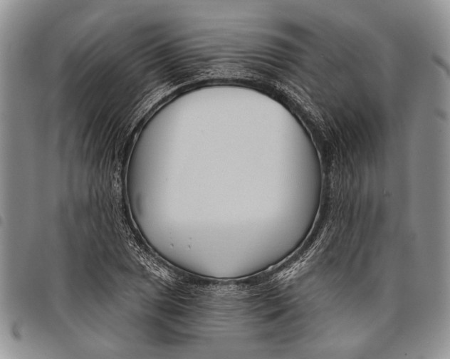 X0000097971025200804141046