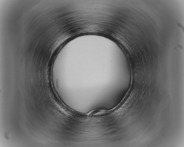 X0000097971026200804141047