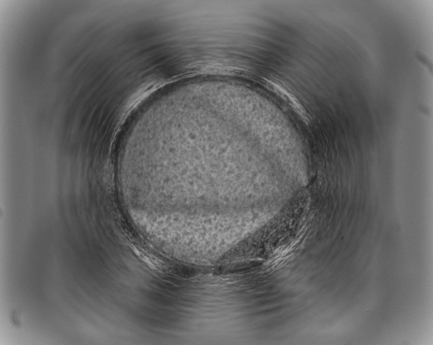 X0000097971027200804141047