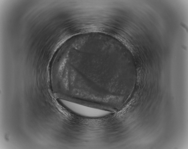 X0000097971031200804141047