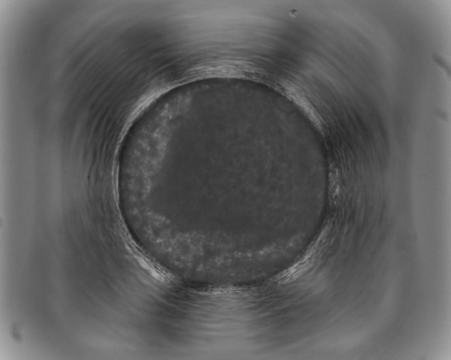 X0000097971035200804141047