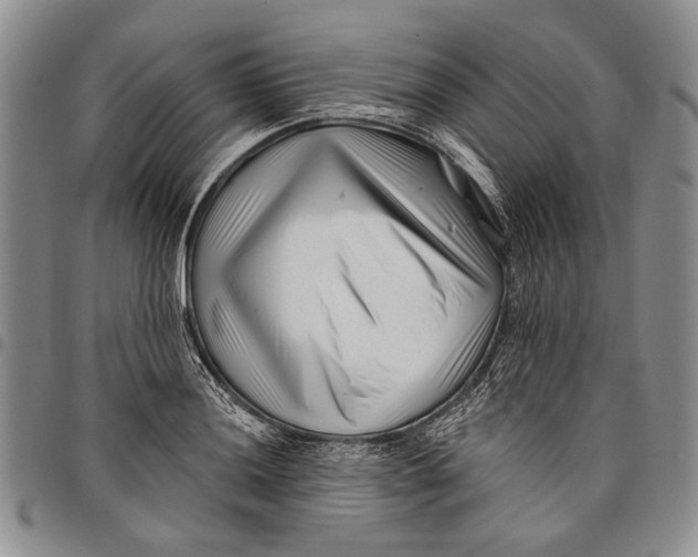 X0000097971036200804141047