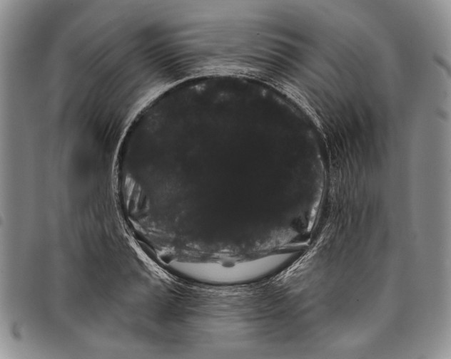 X0000097971037200804141047