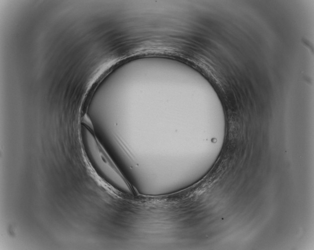 X0000097971038200804141047