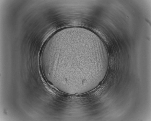 X0000097971039200804141047
