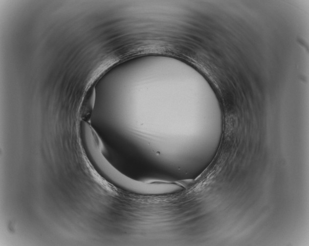 X0000097971042200804141047