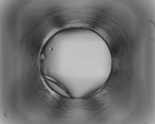 X0000097971046200804141047