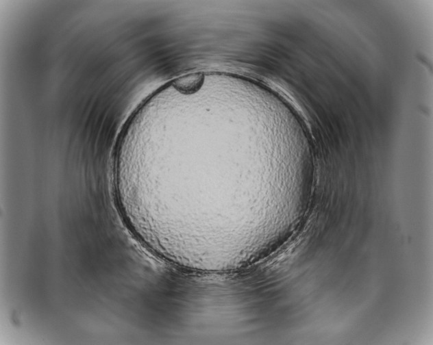 X0000097971048200804141047