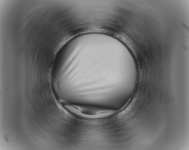 X0000097971049200804141047