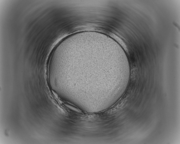 X0000097971051200804141047