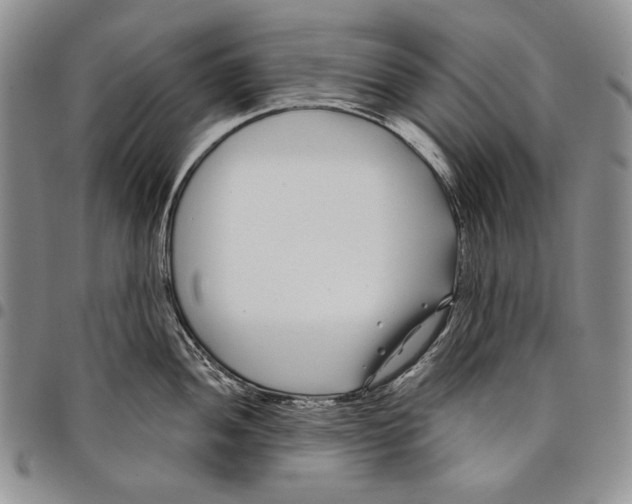 X0000097971052200804141047