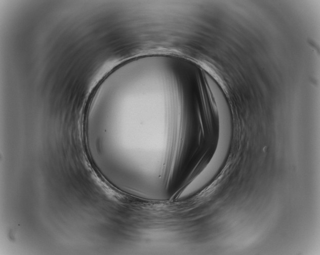 X0000097971054200804141047