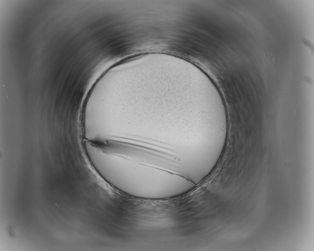 X0000097971056200804141047