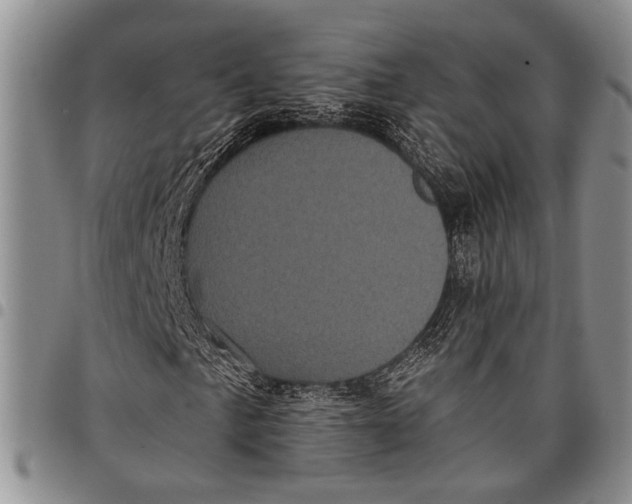 X0000097971057200804141046