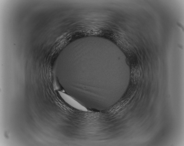 X0000097971058200804141046