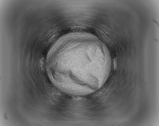 X0000097971059200804141046