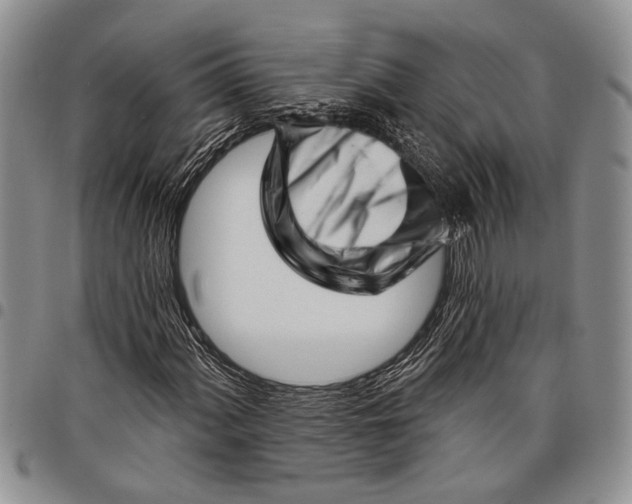 X0000097971060200804141046