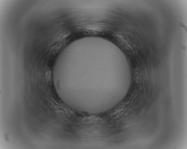 X0000097971061200804141046