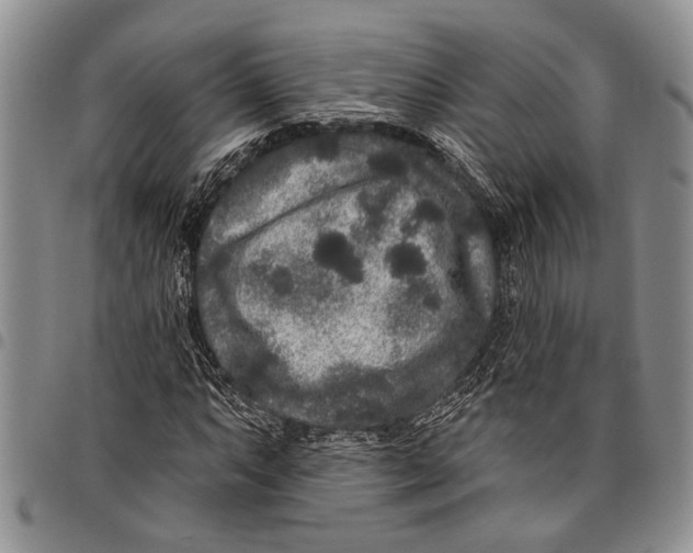 X0000097971063200804141046