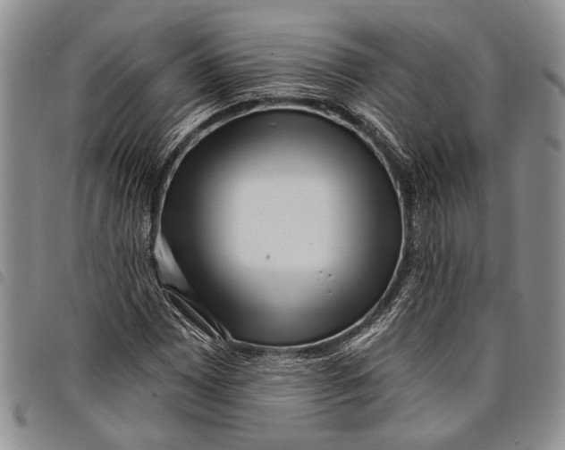 X0000097971065200804141046