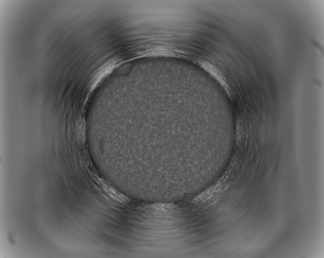 X0000097971067200804141046