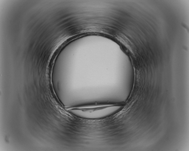 X0000097971068200804141046