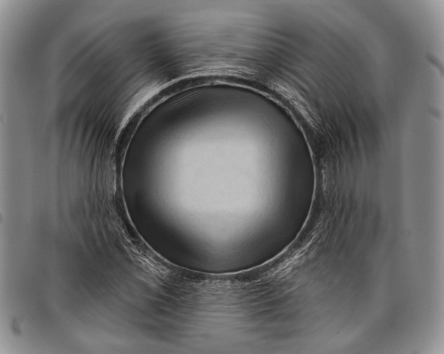X0000097971069200804141046