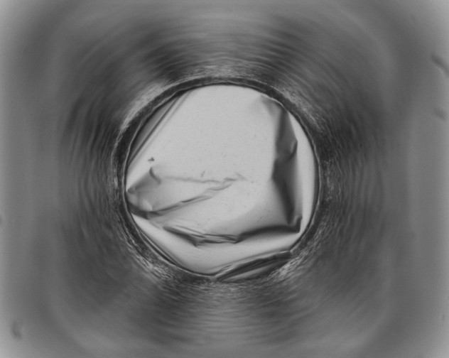 X0000097971070200804141046