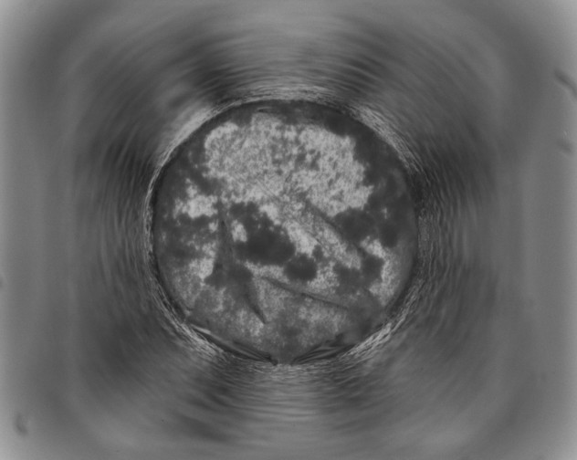 X0000097971071200804141046