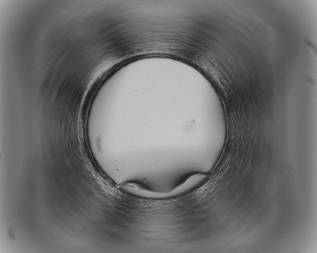 X0000097971072200804141046