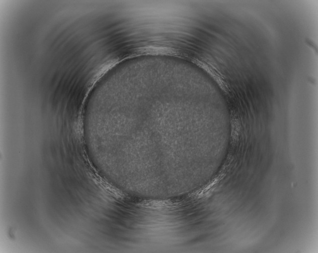 X0000097971074200804141046