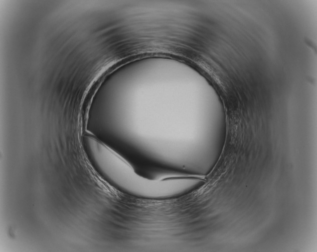 X0000097971076200804141046
