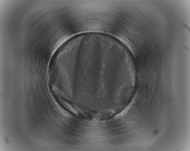 X0000097971077200804141046