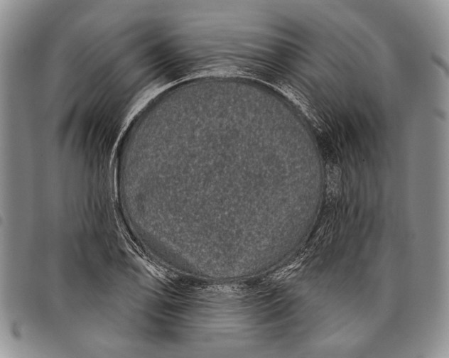X0000097971078200804141046