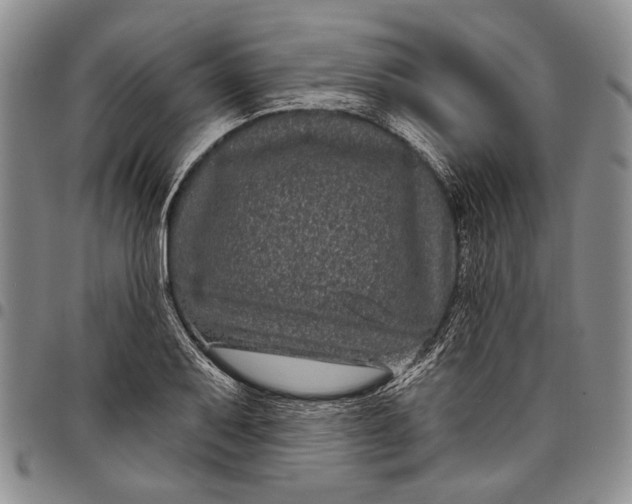 X0000097971079200804141046