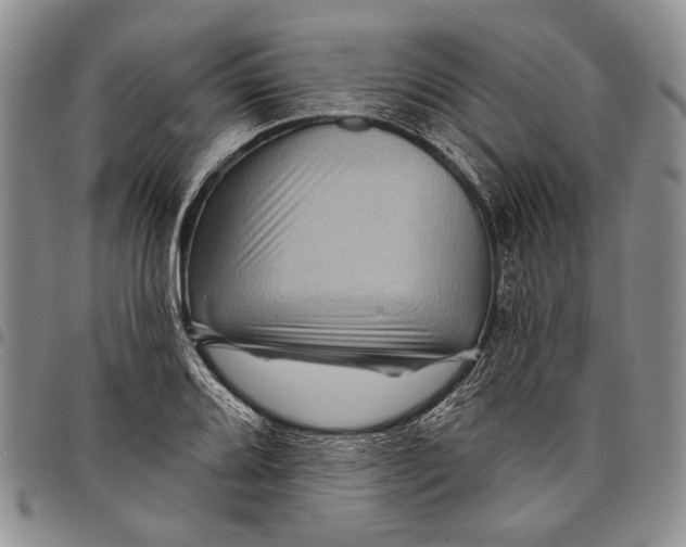 X0000097971080200804141046
