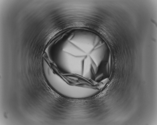 X0000097971081200804141046